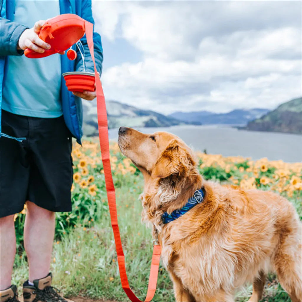 "PawBuddy" 5-in-1 Retractable Leash for Walks and Adventures